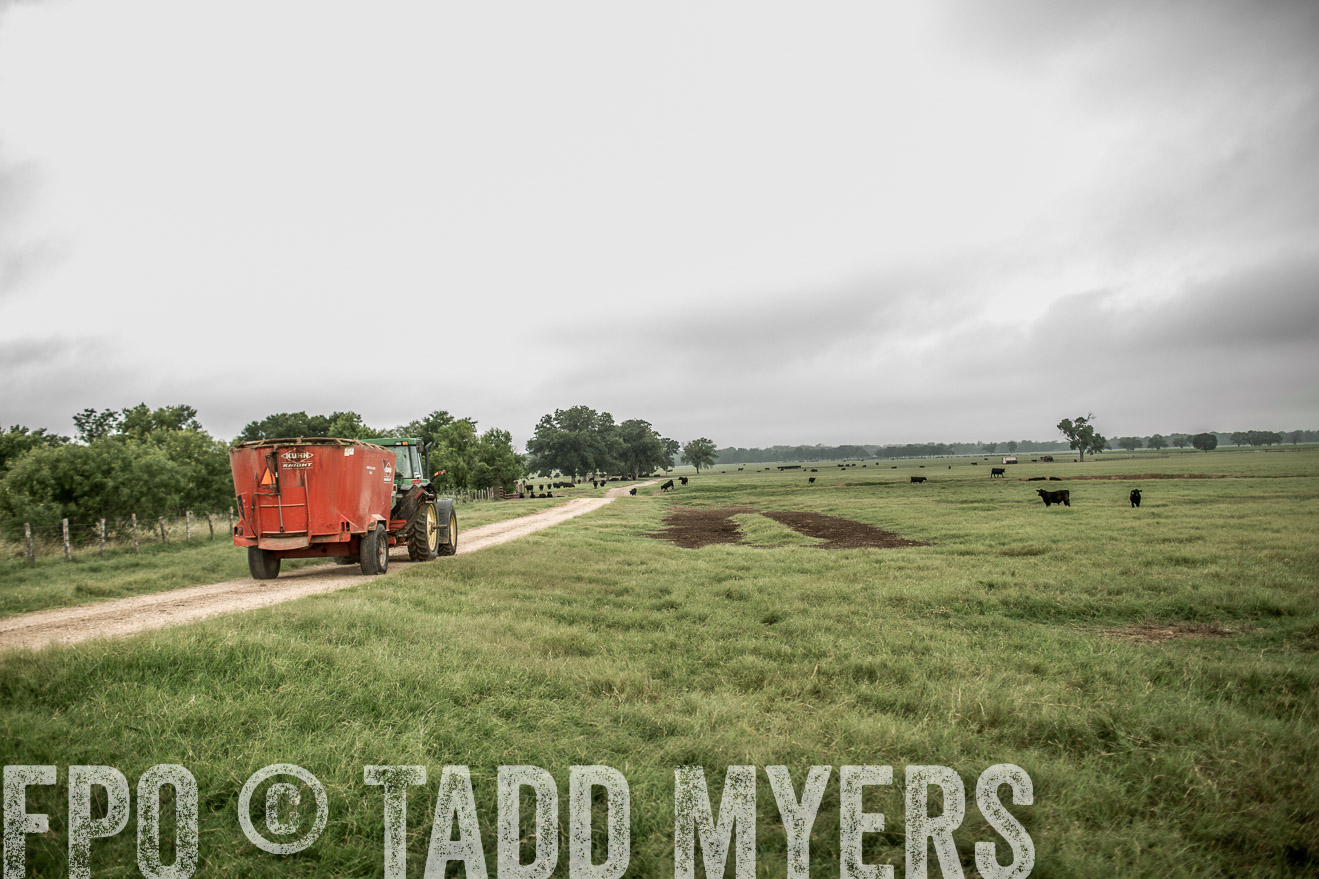 TMyers_CameronTX_June2014-8169