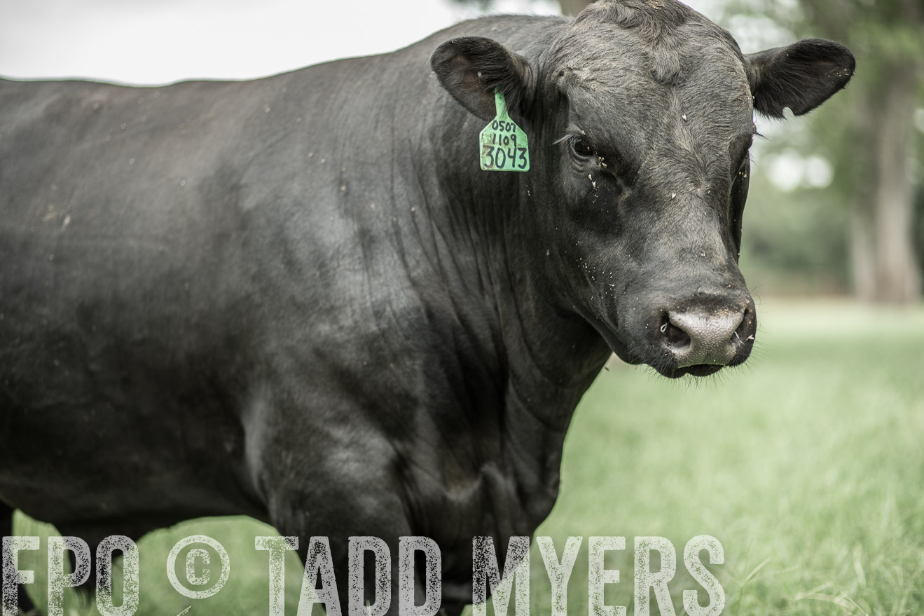 TMyers_CameronTX_June2014-8253