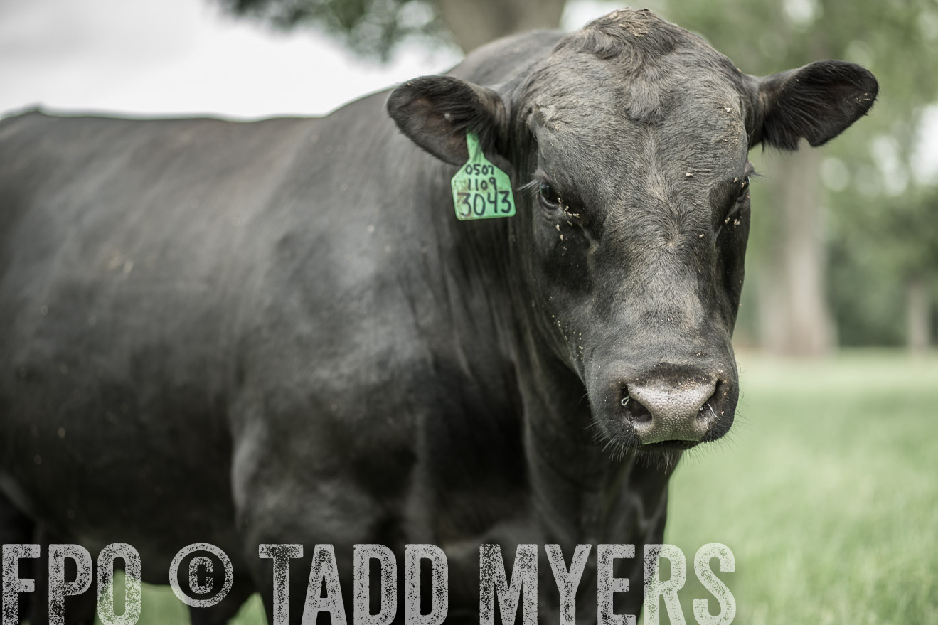 TMyers_CameronTX_June2014-8256