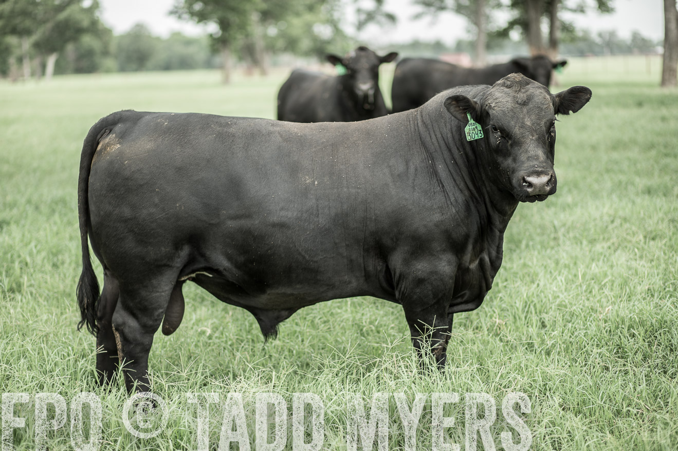 TMyers_CameronTX_June2014-8279