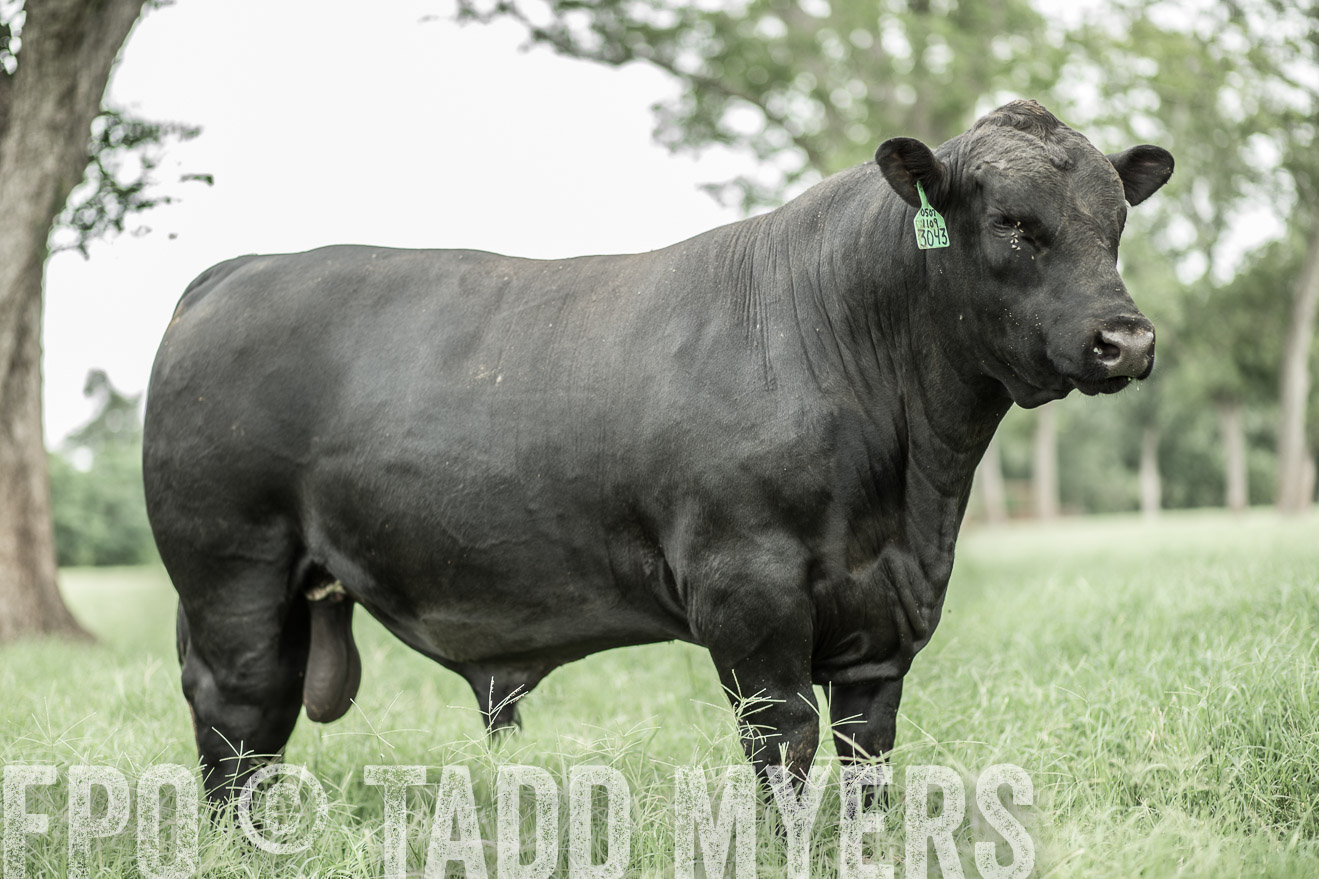 TMyers_CameronTX_June2014-8299