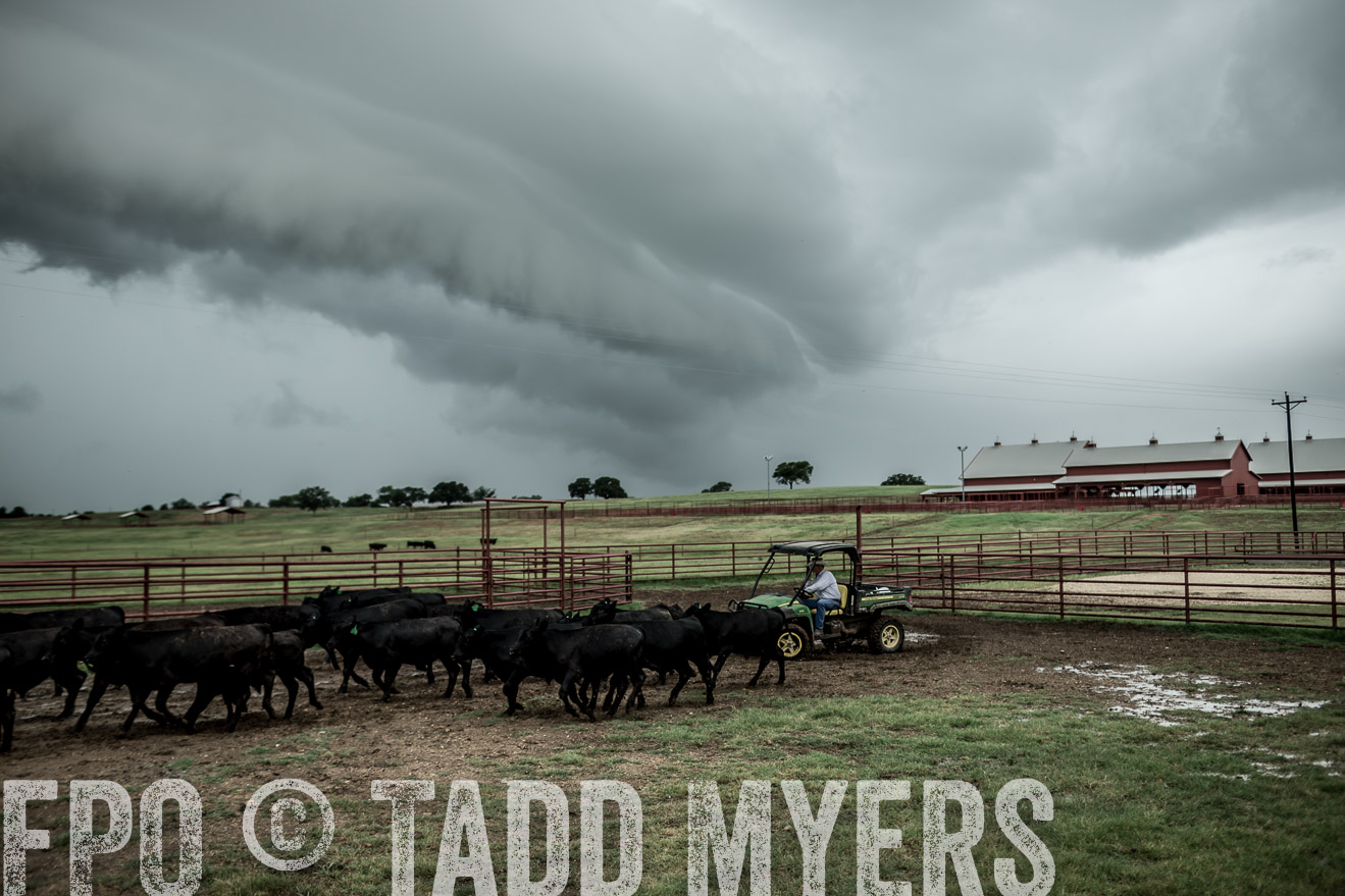 TMyers_CameronTX_June2014-8675