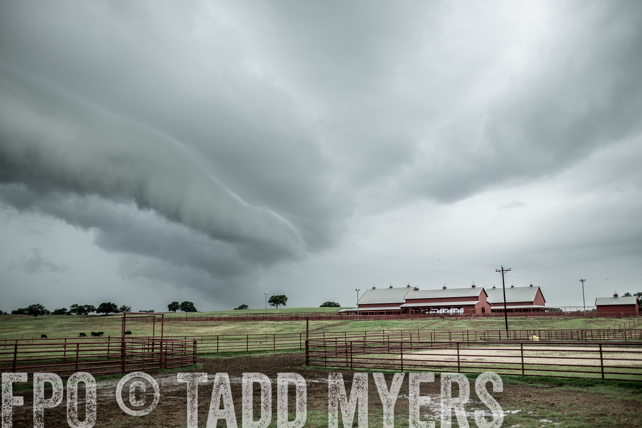 TMyers_CameronTX_June2014-8679