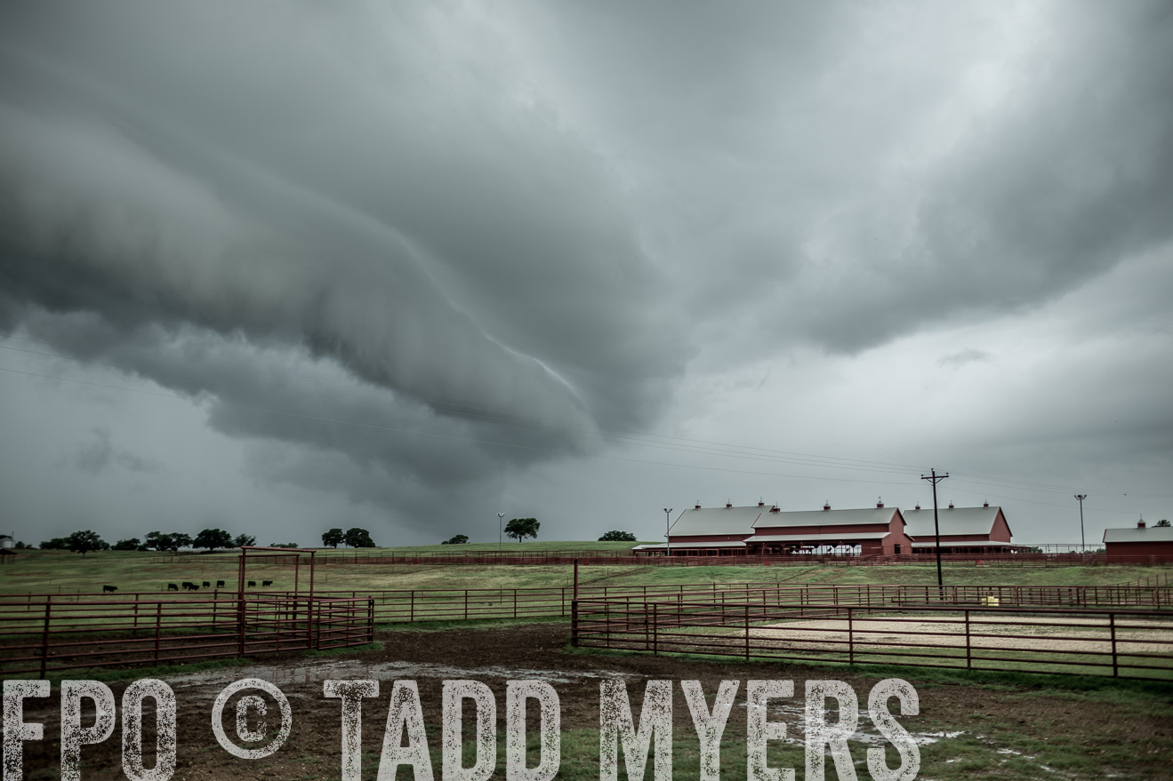 TMyers_CameronTX_June2014-8681