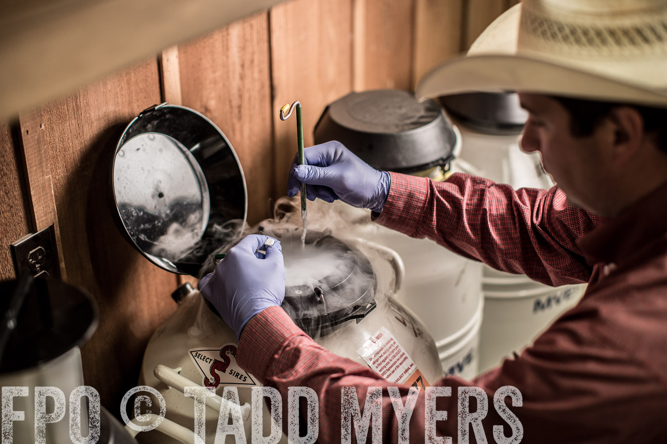 TMyers_CameronTX_June2014-8777