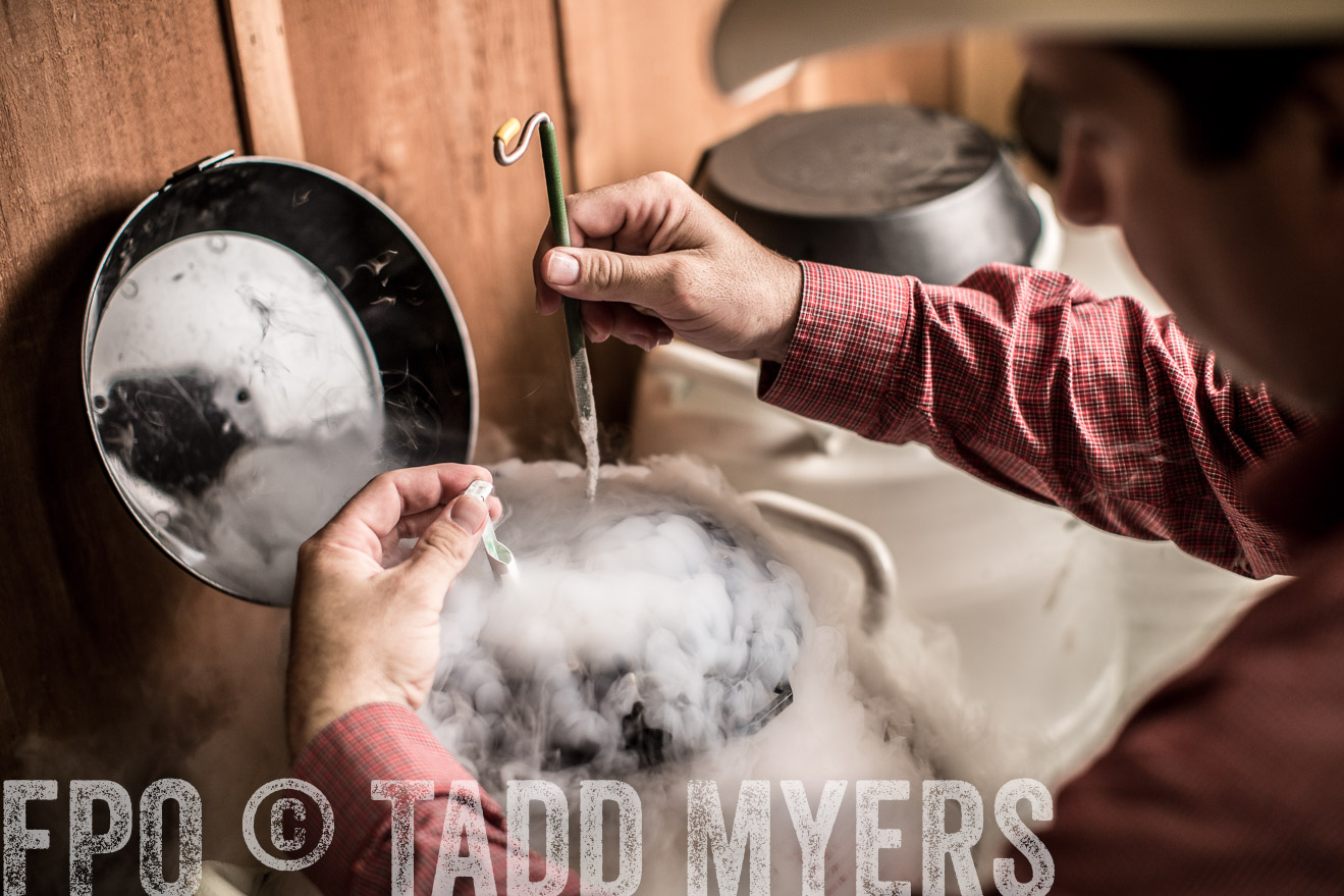 TMyers_CameronTX_June2014-8784