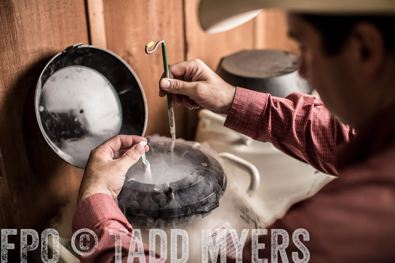 TMyers_CameronTX_June2014-8791