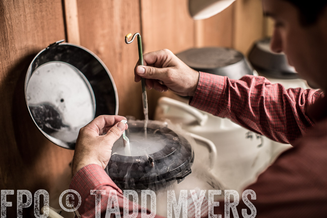 TMyers_CameronTX_June2014-8793