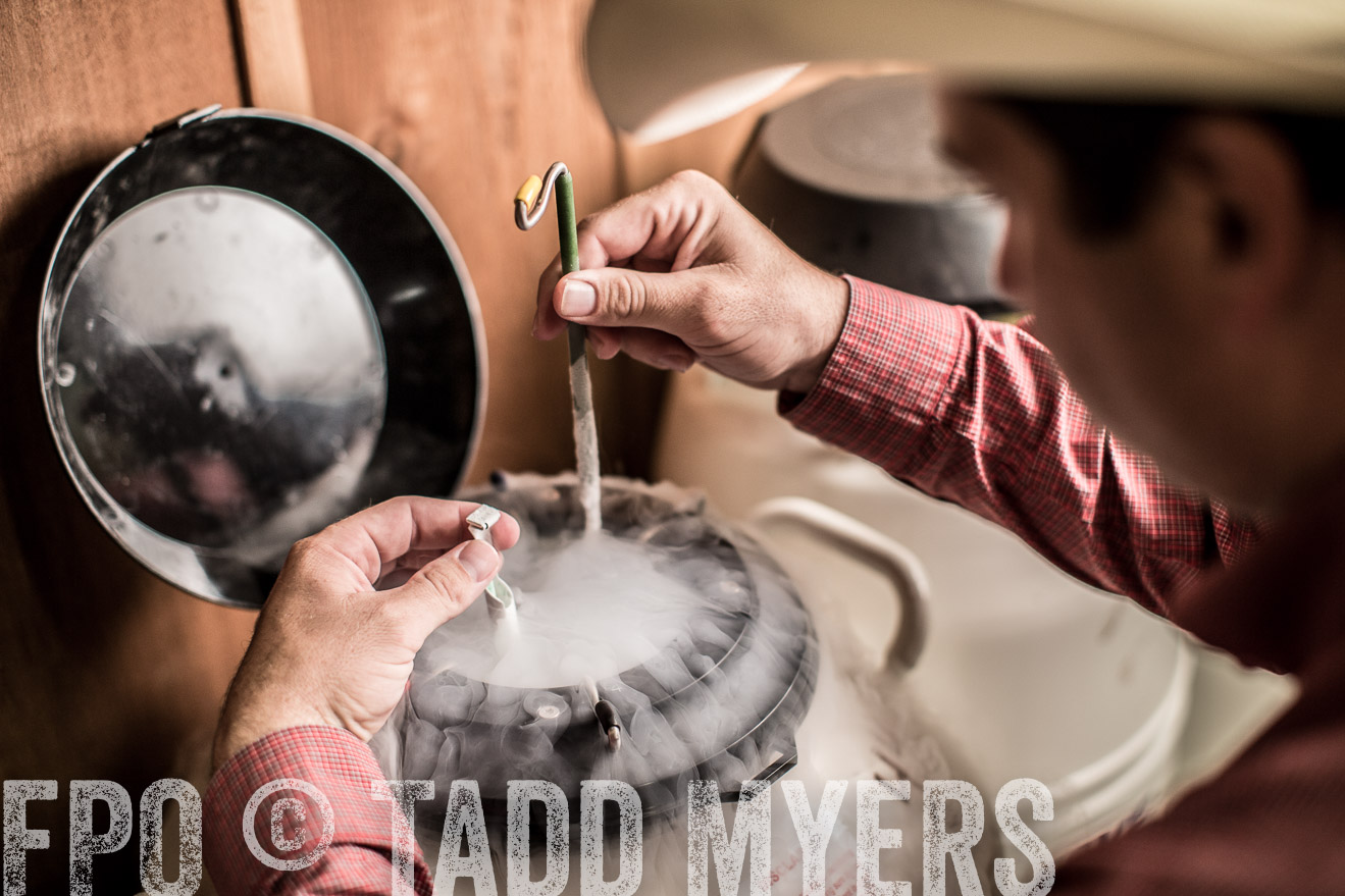 TMyers_CameronTX_June2014-8808