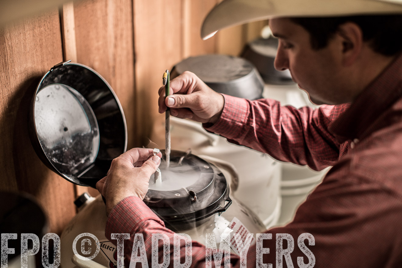 TMyers_CameronTX_June2014-8825