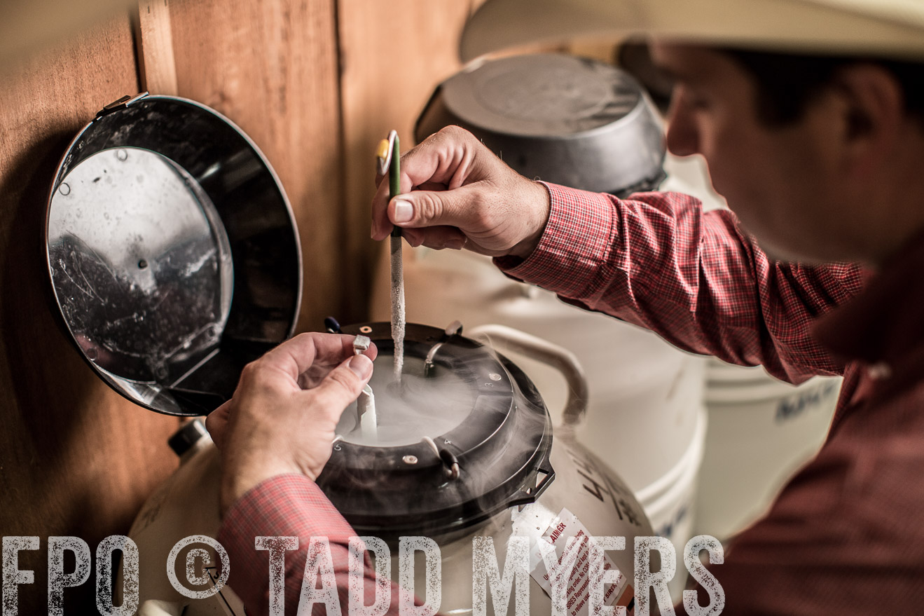 TMyers_CameronTX_June2014-8833
