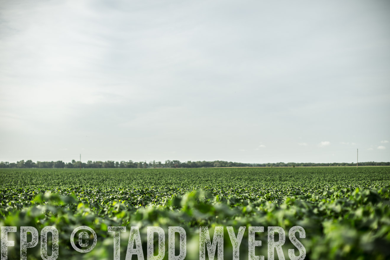TMyers_CameronTX_June2014-9344