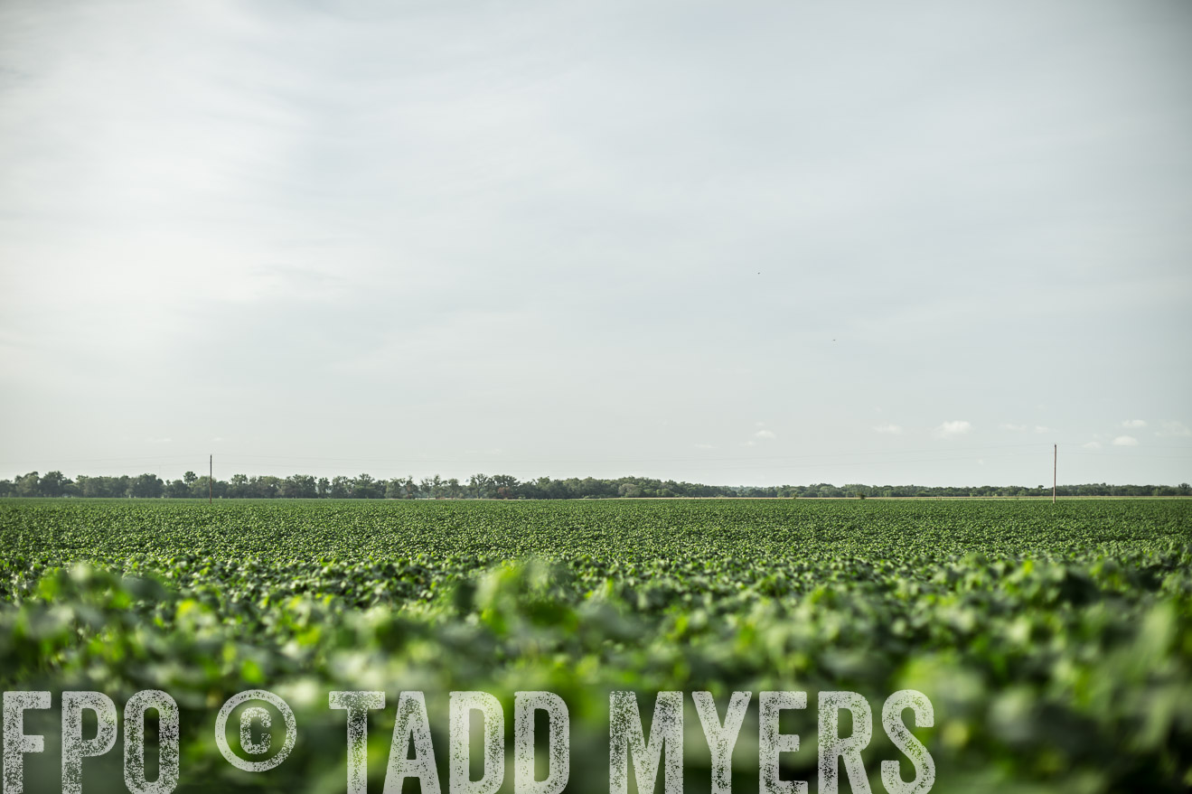 TMyers_CameronTX_June2014-9345
