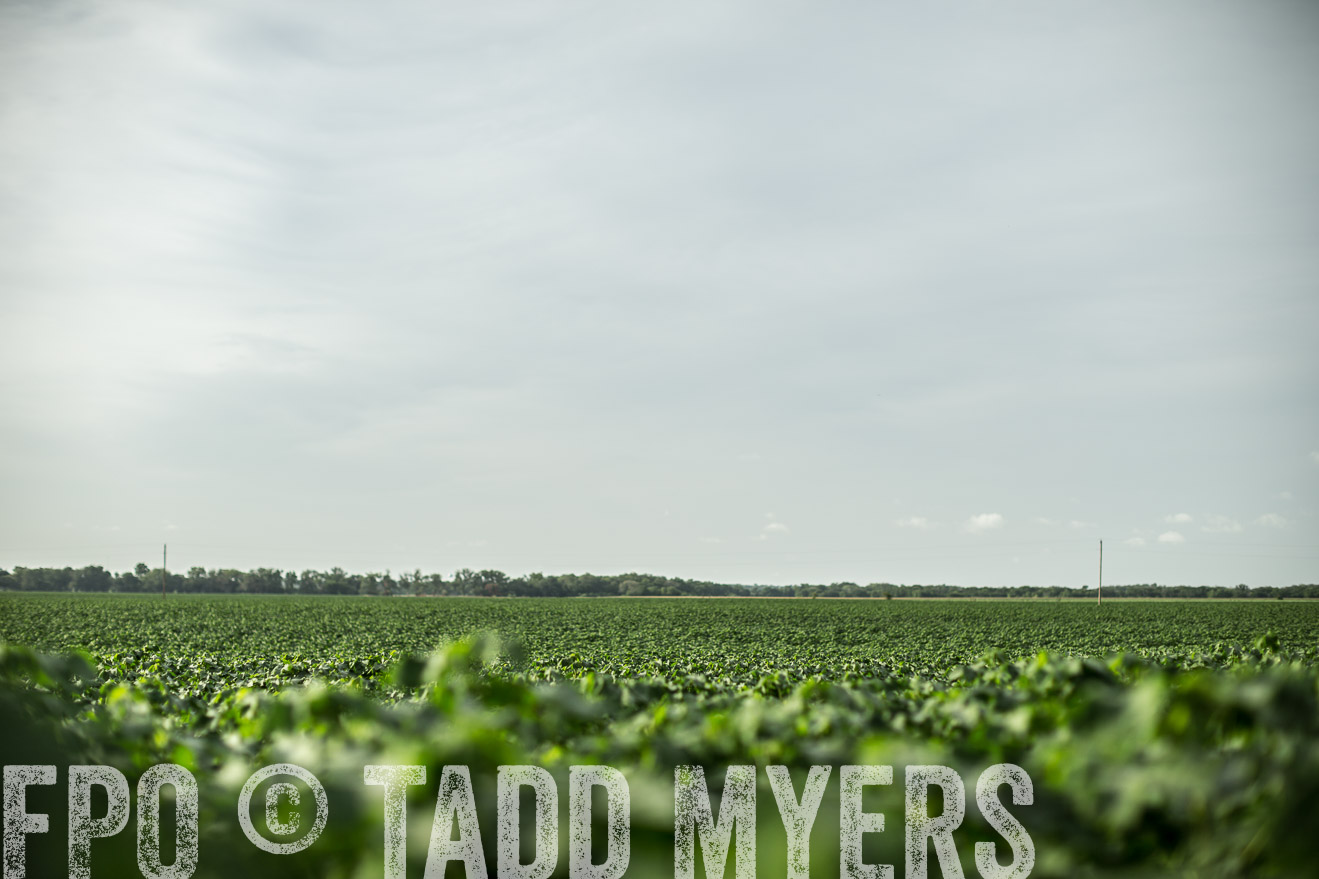 TMyers_CameronTX_June2014-9350