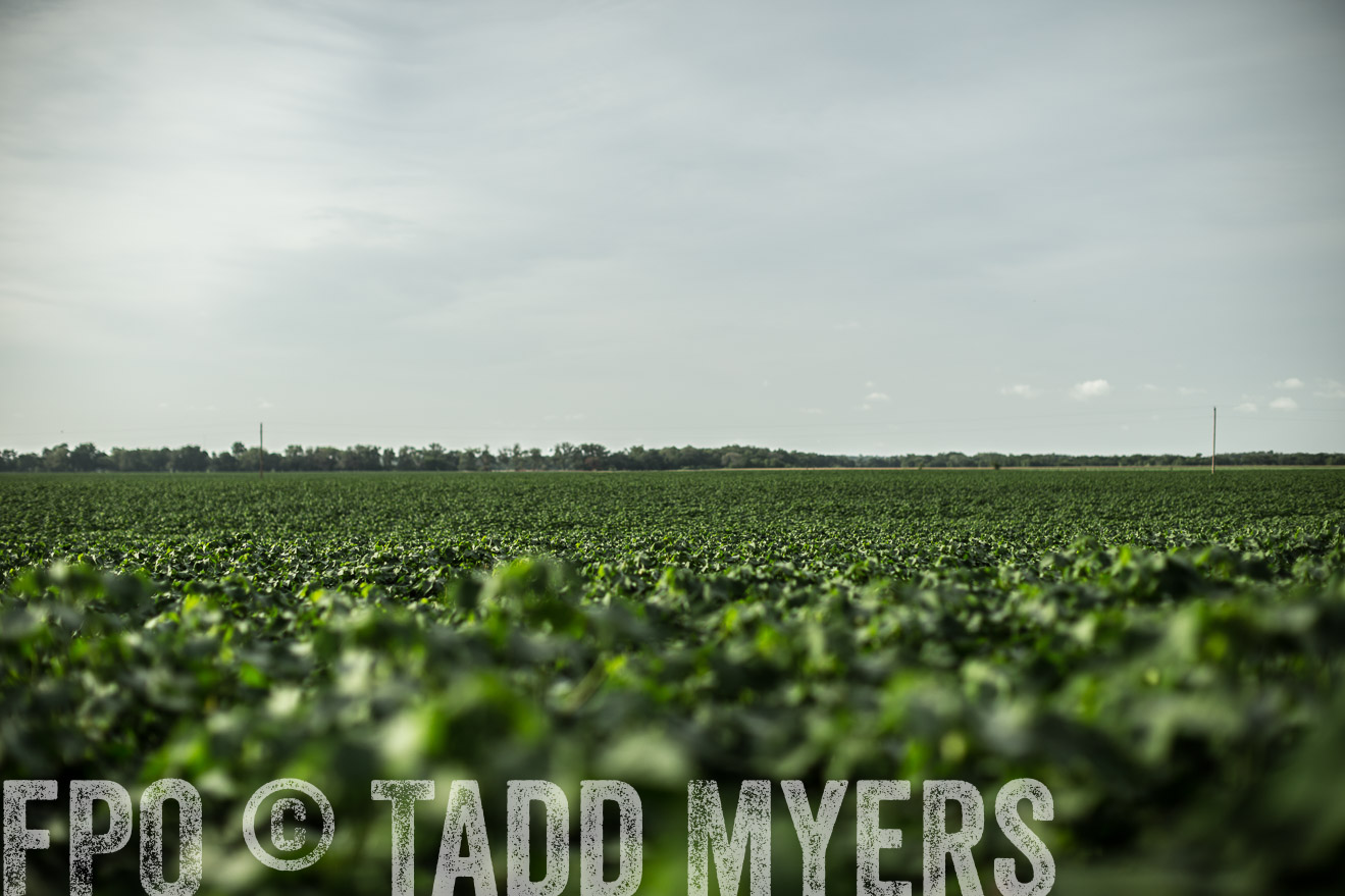 TMyers_CameronTX_June2014-9355