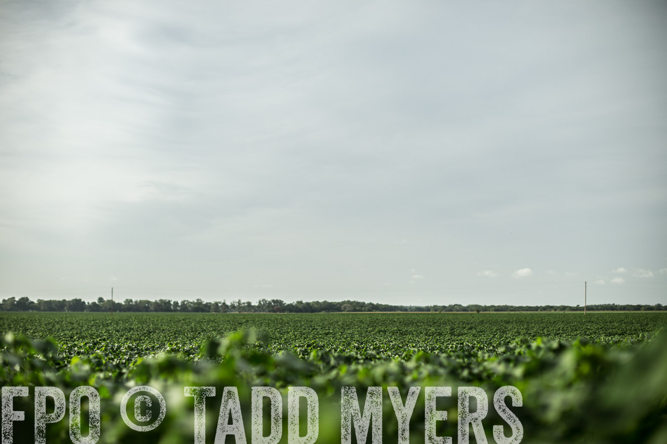 TMyers_CameronTX_June2014-9358