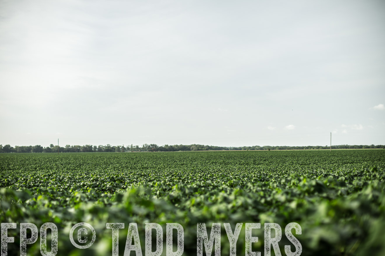 TMyers_CameronTX_June2014-9360