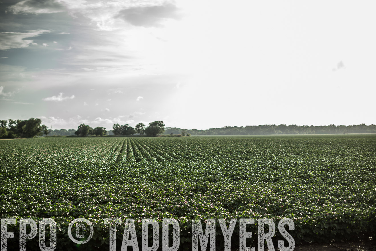 TMyers_CameronTX_June2014-9365