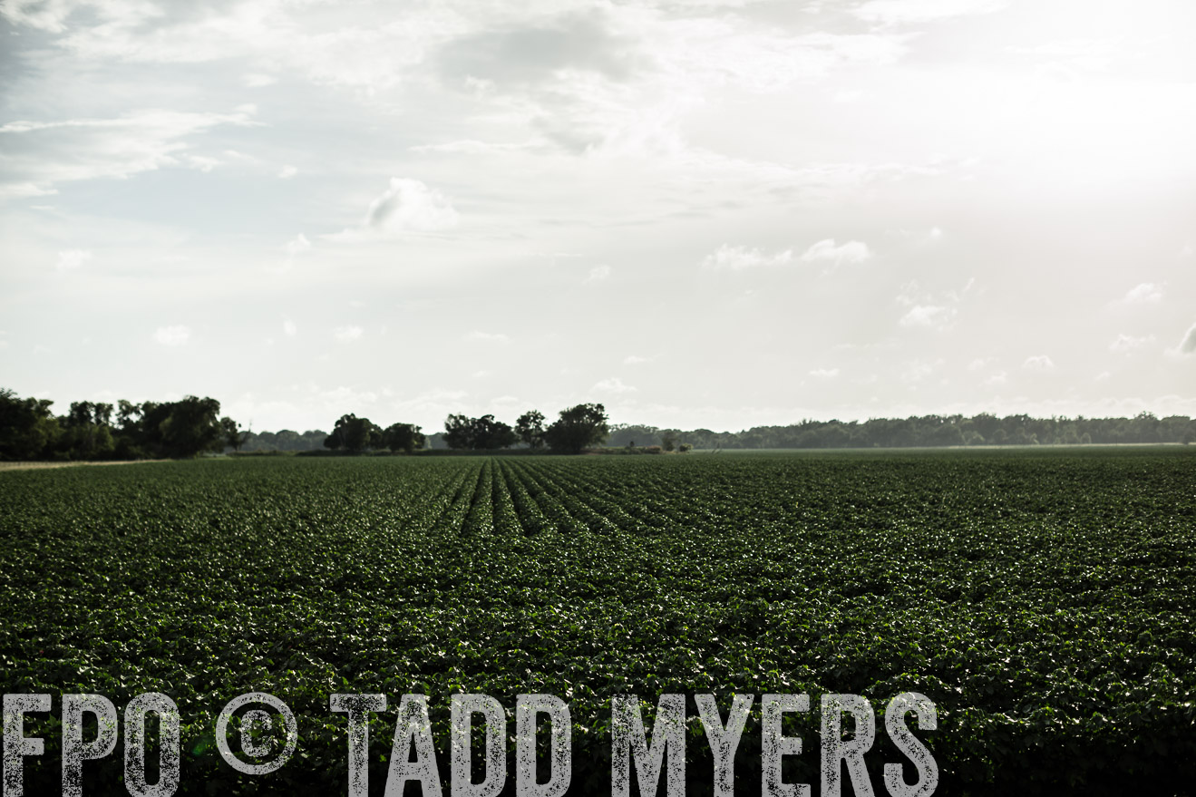 TMyers_CameronTX_June2014-9373