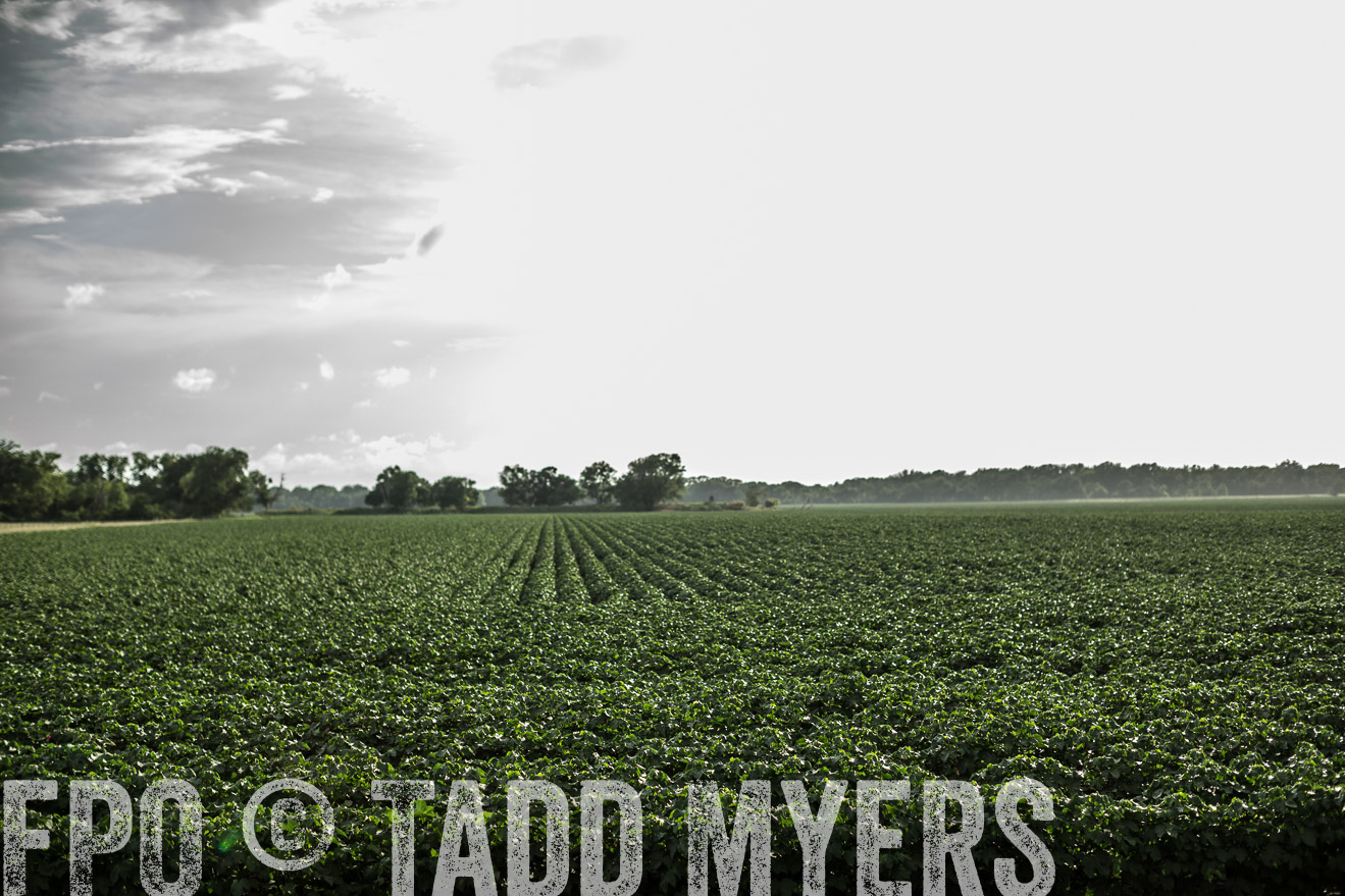 TMyers_CameronTX_June2014-9375