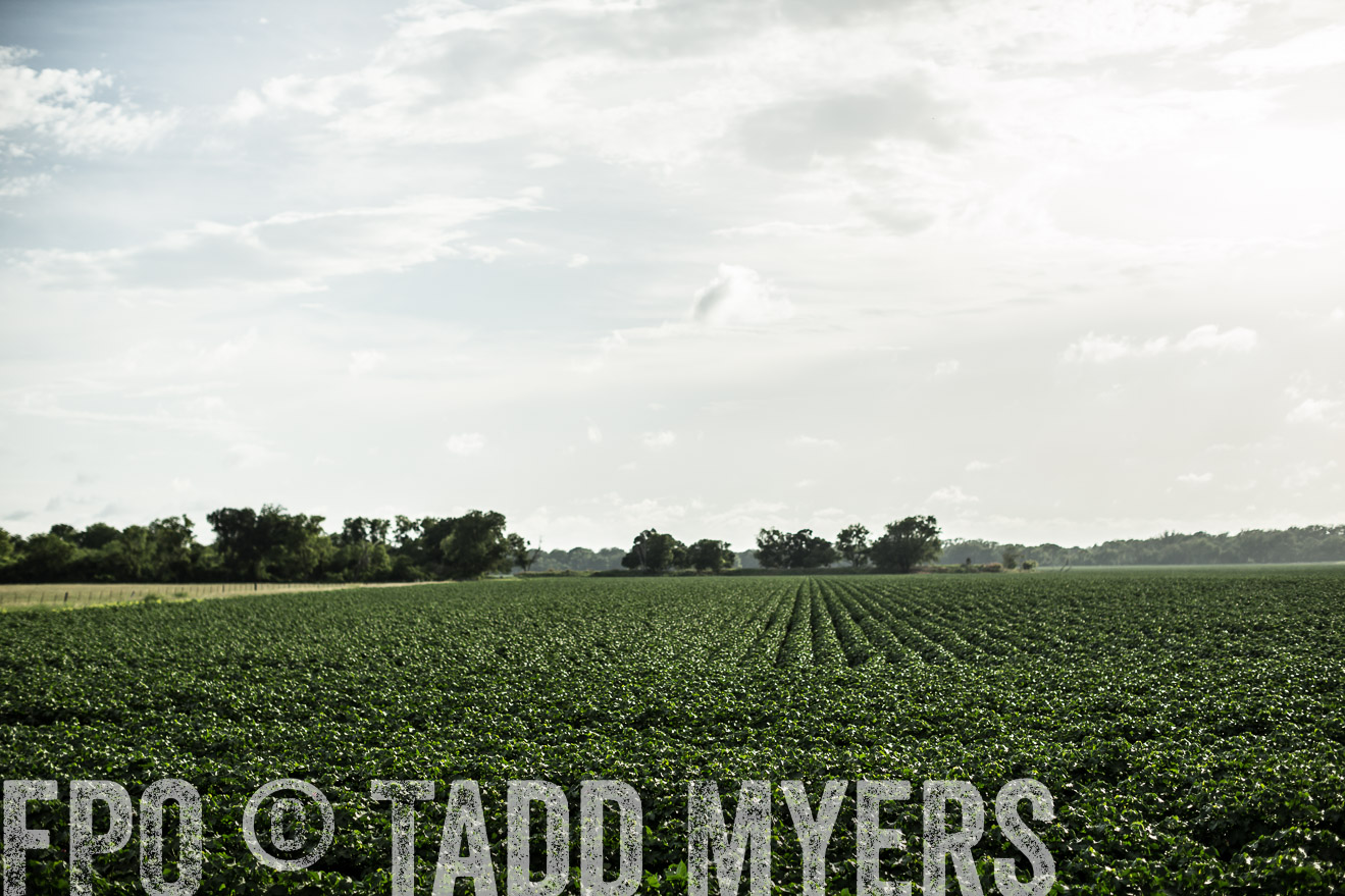 TMyers_CameronTX_June2014-9382
