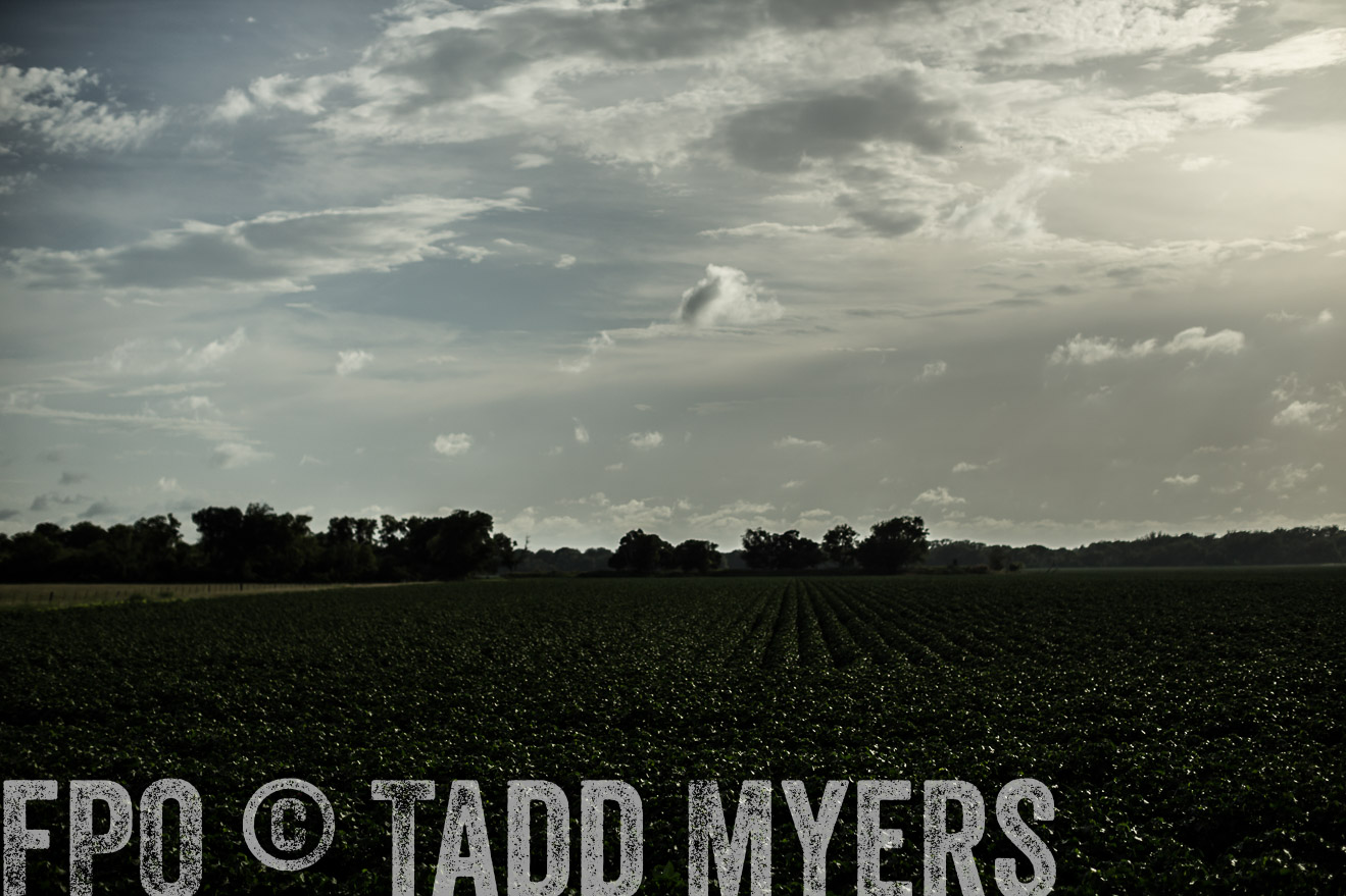 TMyers_CameronTX_June2014-9383