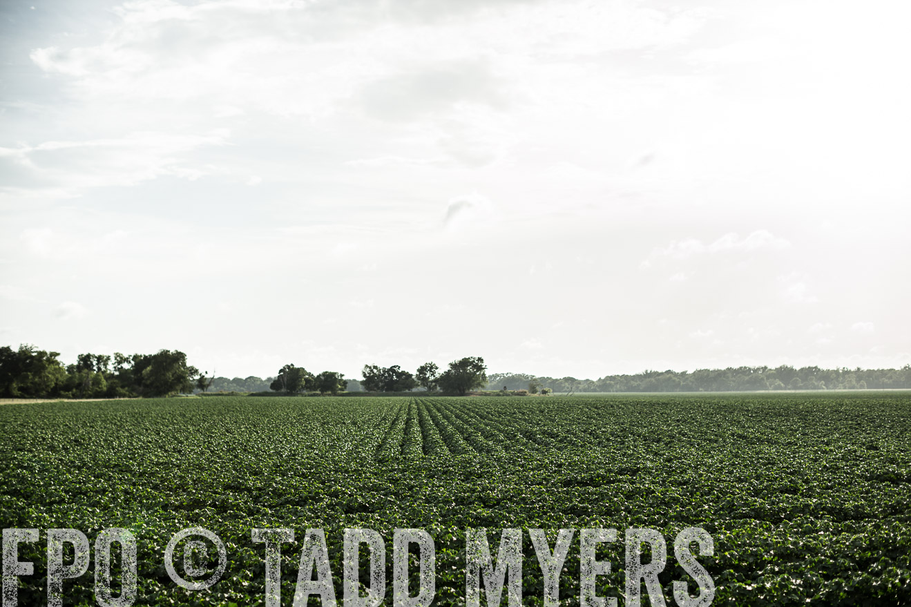 TMyers_CameronTX_June2014-9385