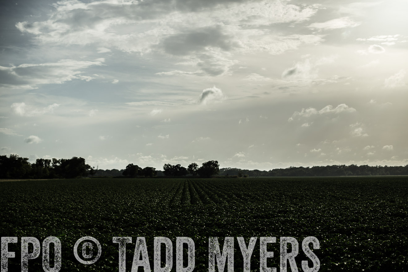 TMyers_CameronTX_June2014-9386