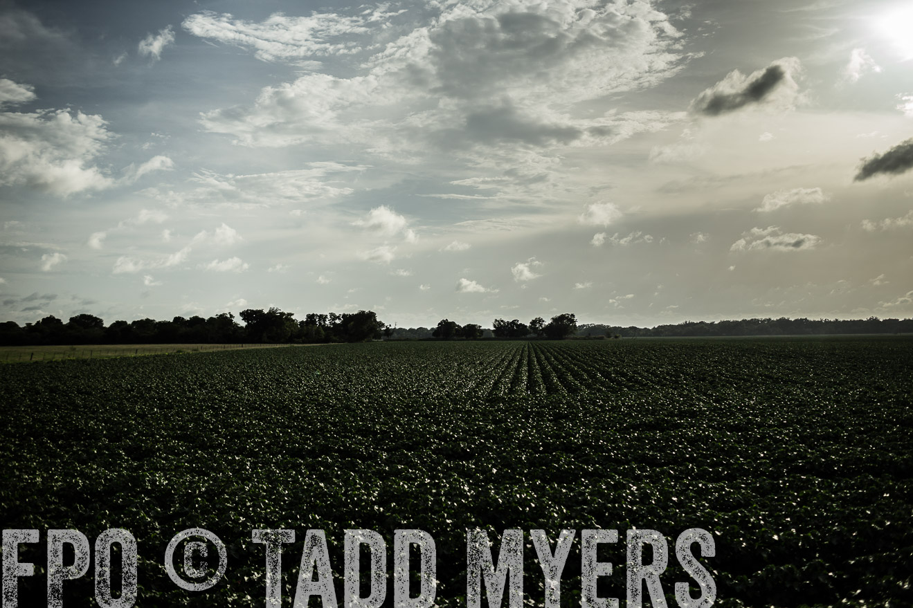 TMyers_CameronTX_June2014-9410