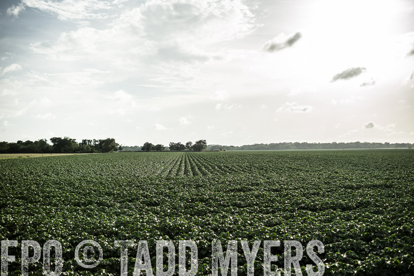 TMyers_CameronTX_June2014-9412