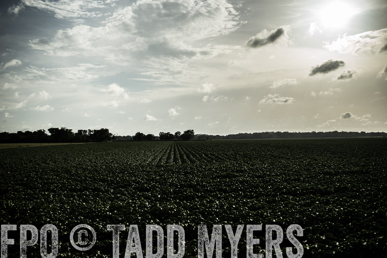 TMyers_CameronTX_June2014-9413