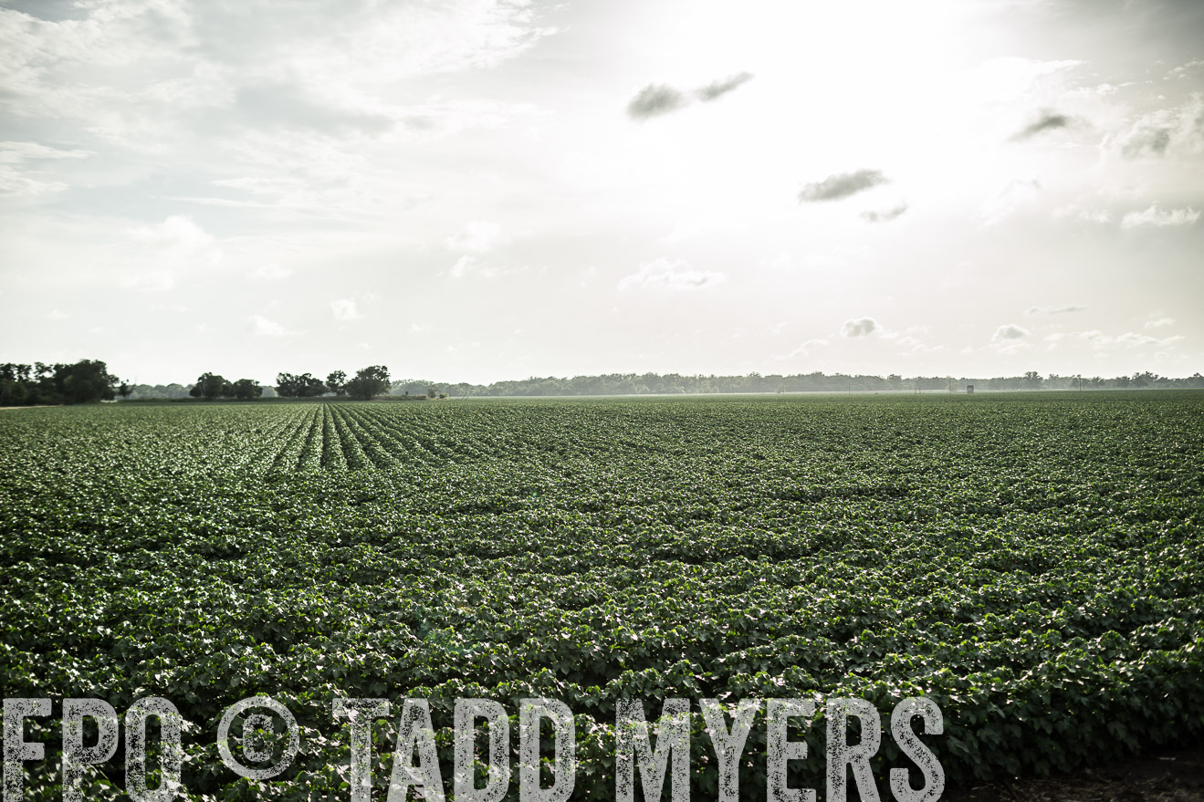 TMyers_CameronTX_June2014-9415