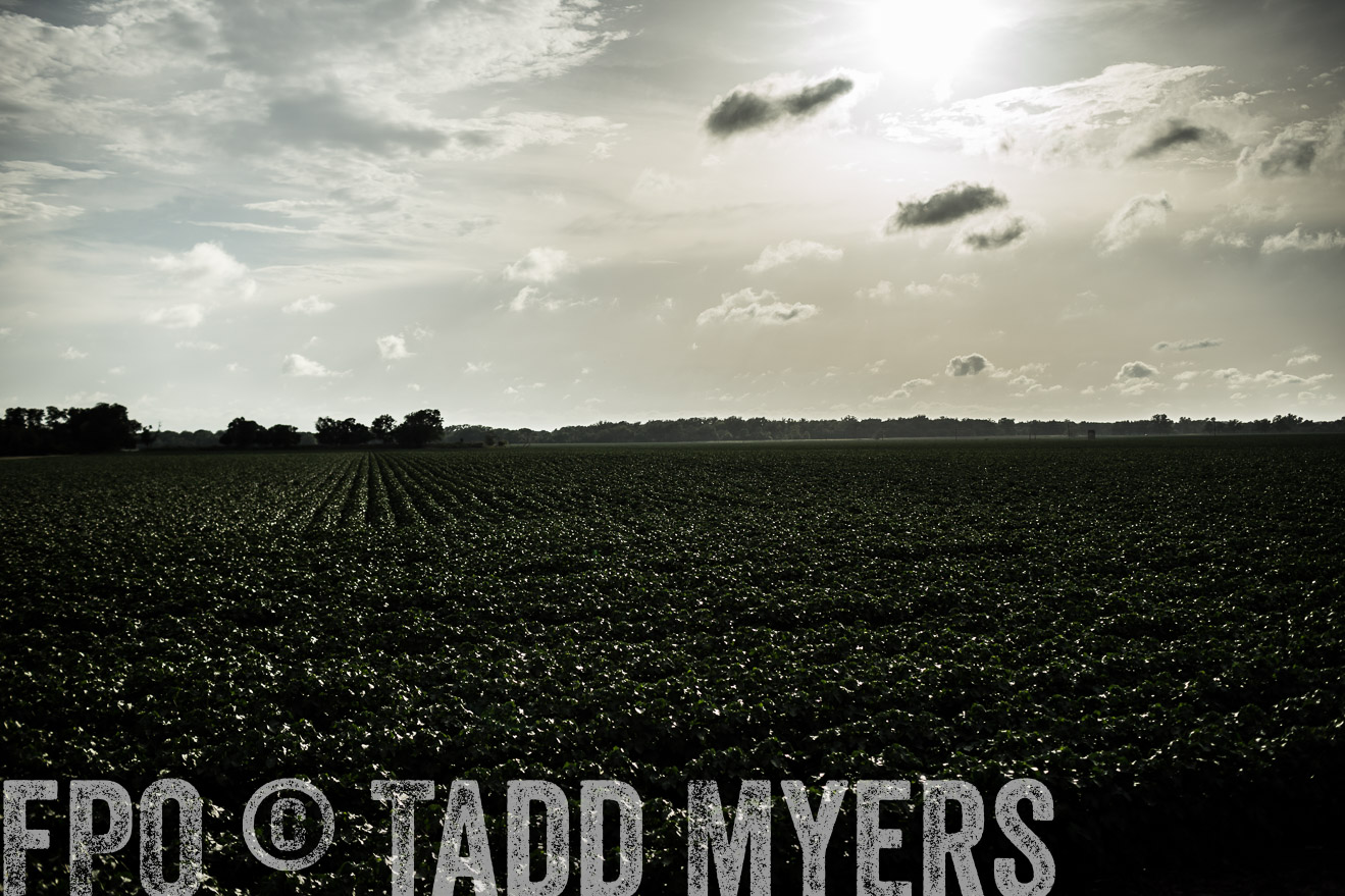 TMyers_CameronTX_June2014-9416