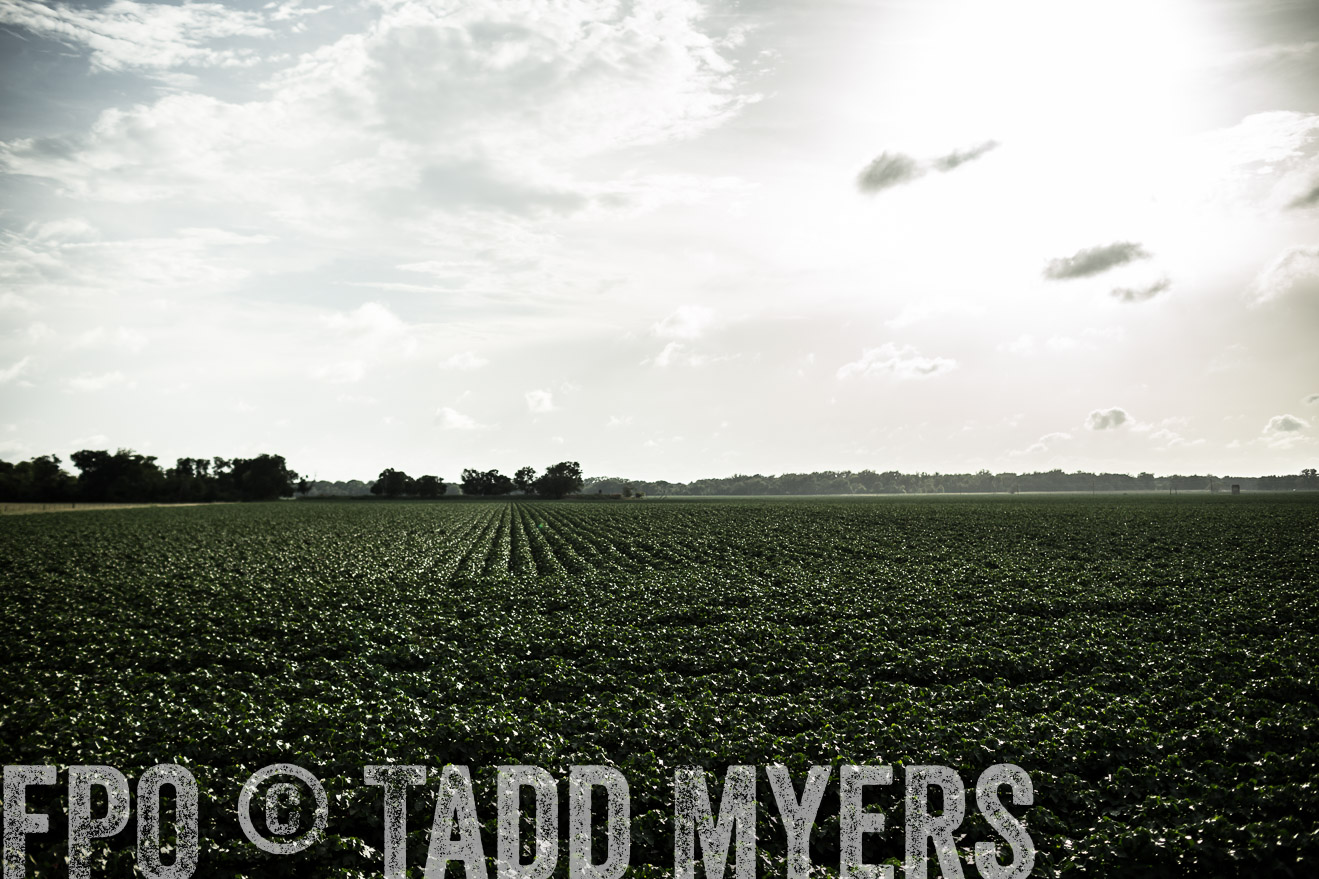 TMyers_CameronTX_June2014-9421