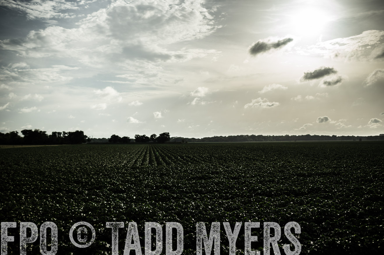 TMyers_CameronTX_June2014-9422