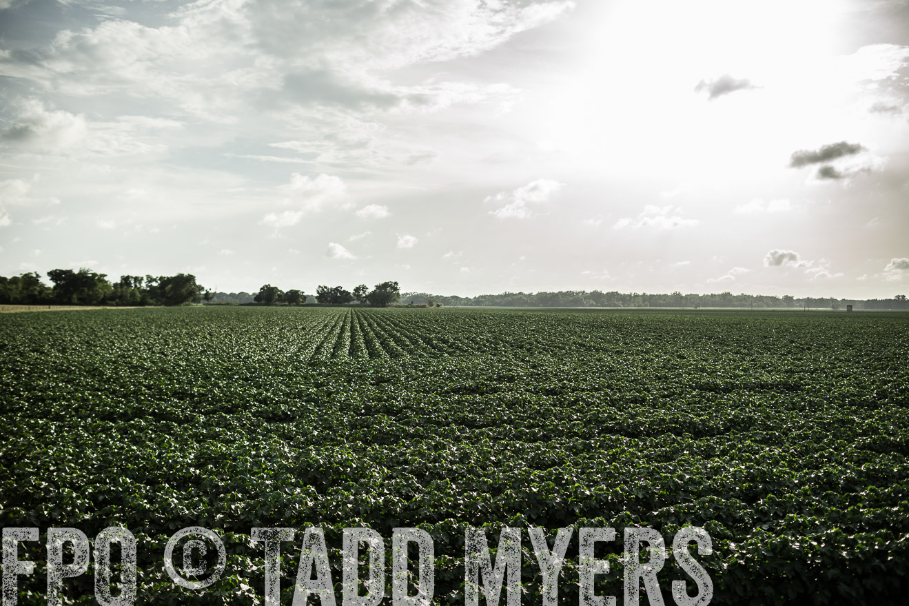 TMyers_CameronTX_June2014-9433