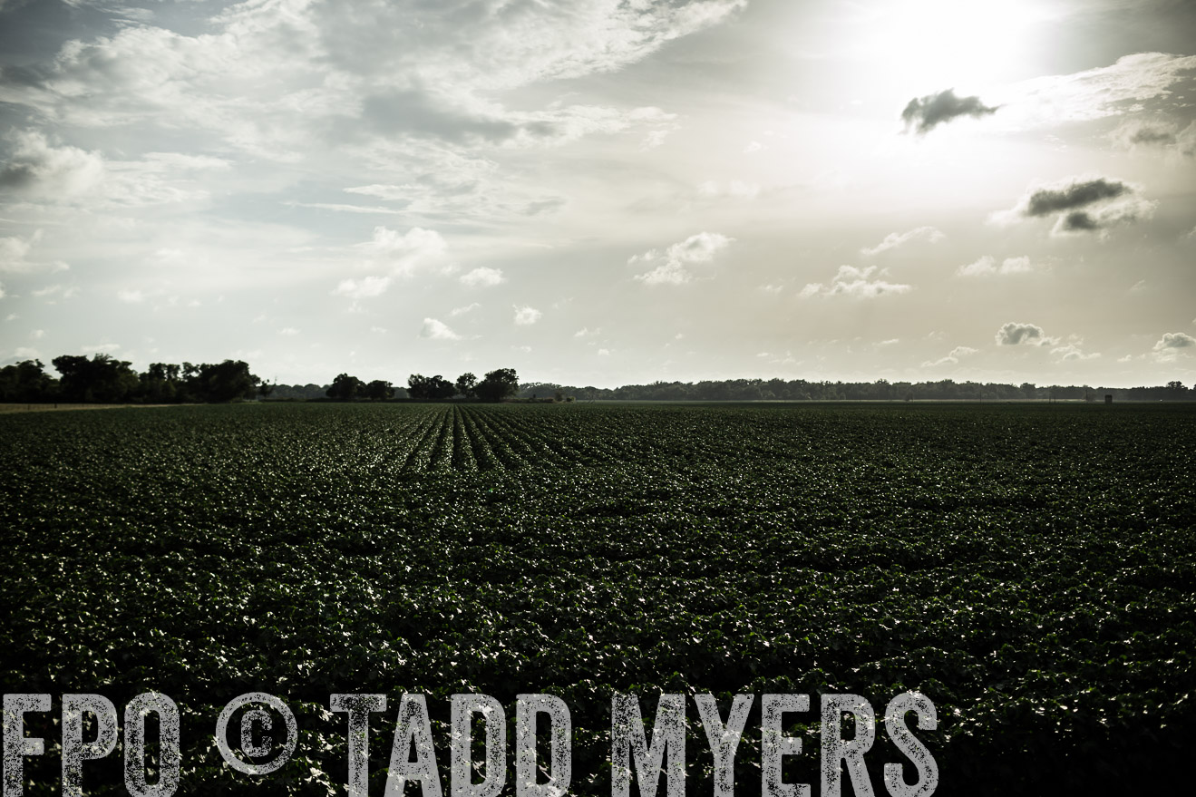 TMyers_CameronTX_June2014-9434