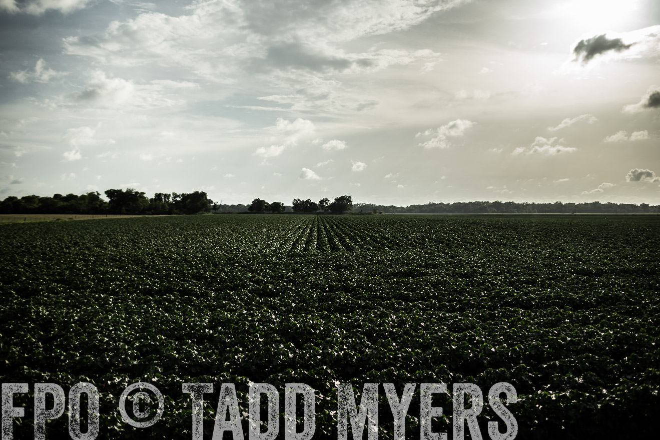 TMyers_CameronTX_June2014-9437