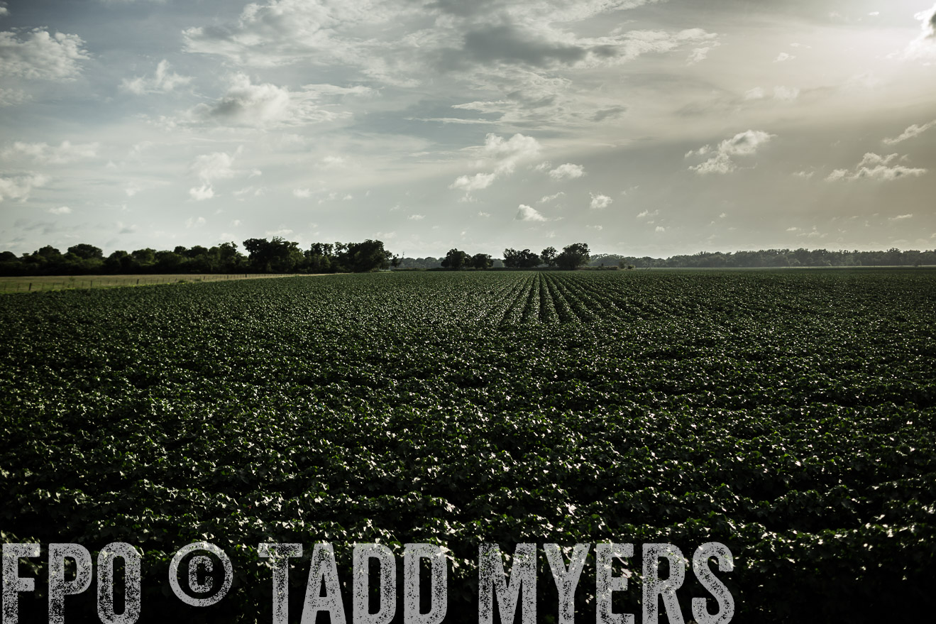 TMyers_CameronTX_June2014-9440