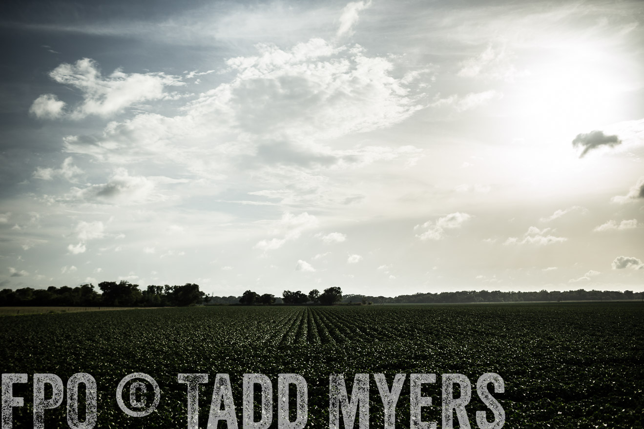 TMyers_CameronTX_June2014-9446