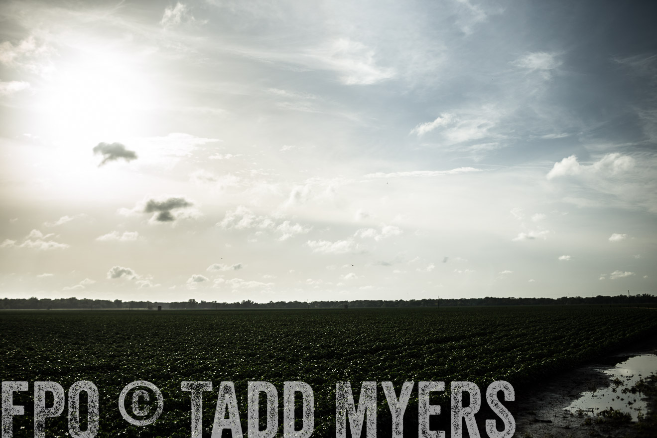 TMyers_CameronTX_June2014-9452