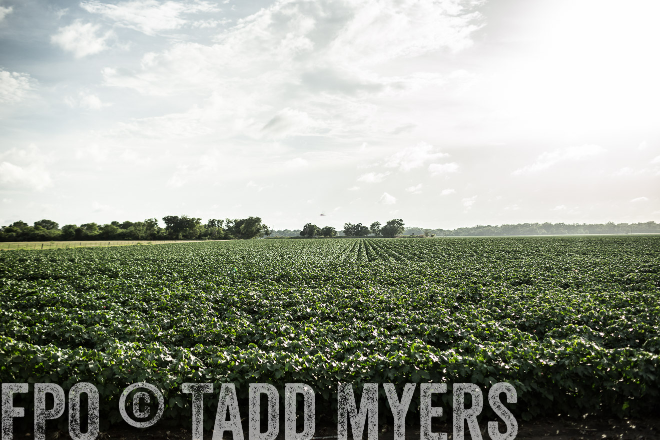 TMyers_CameronTX_June2014-9454