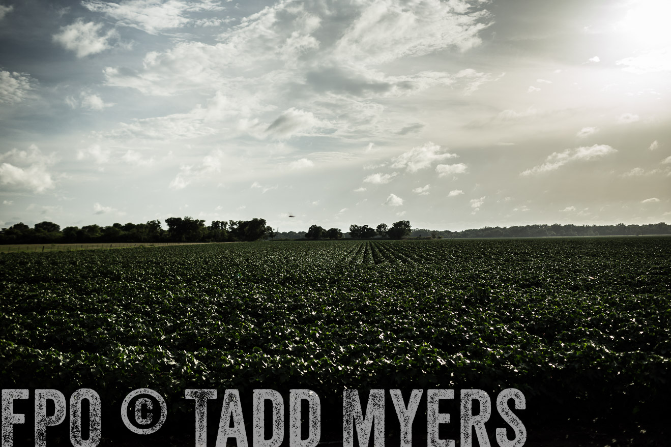 TMyers_CameronTX_June2014-9455