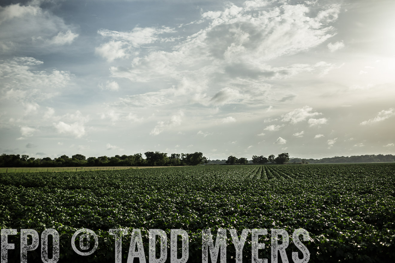 TMyers_CameronTX_June2014-9458