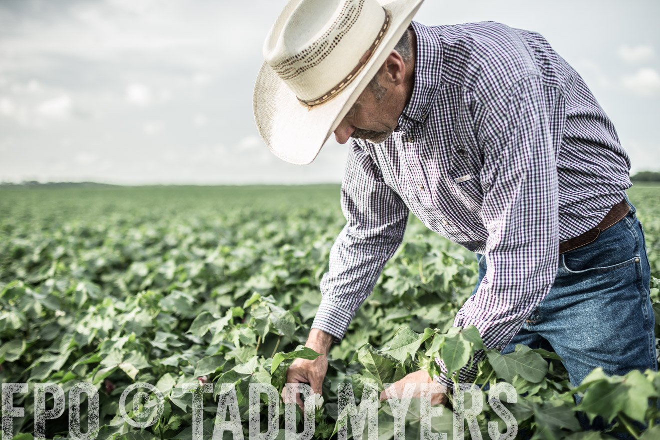 TMyers_CameronTX_June2014-9465