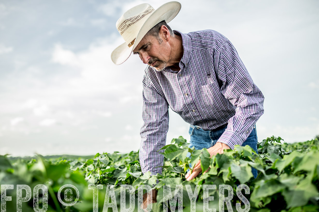 TMyers_CameronTX_June2014-9491