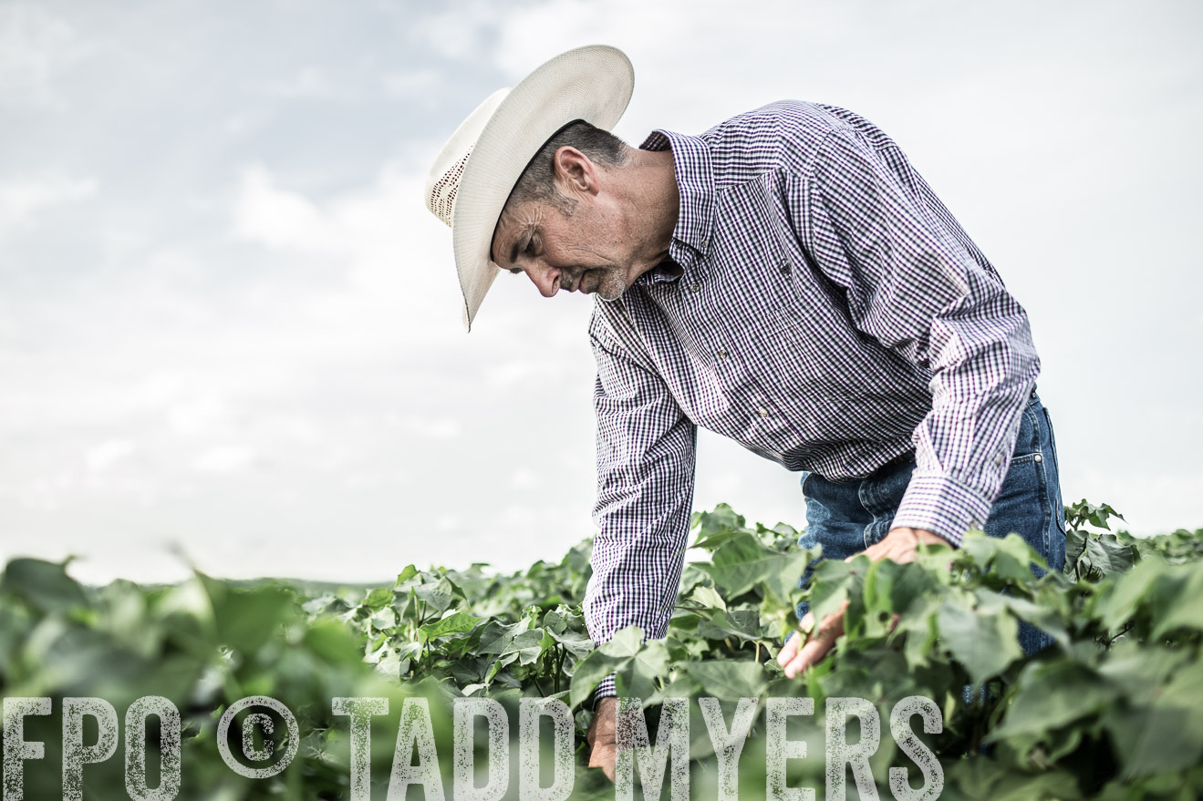 TMyers_CameronTX_June2014-9494
