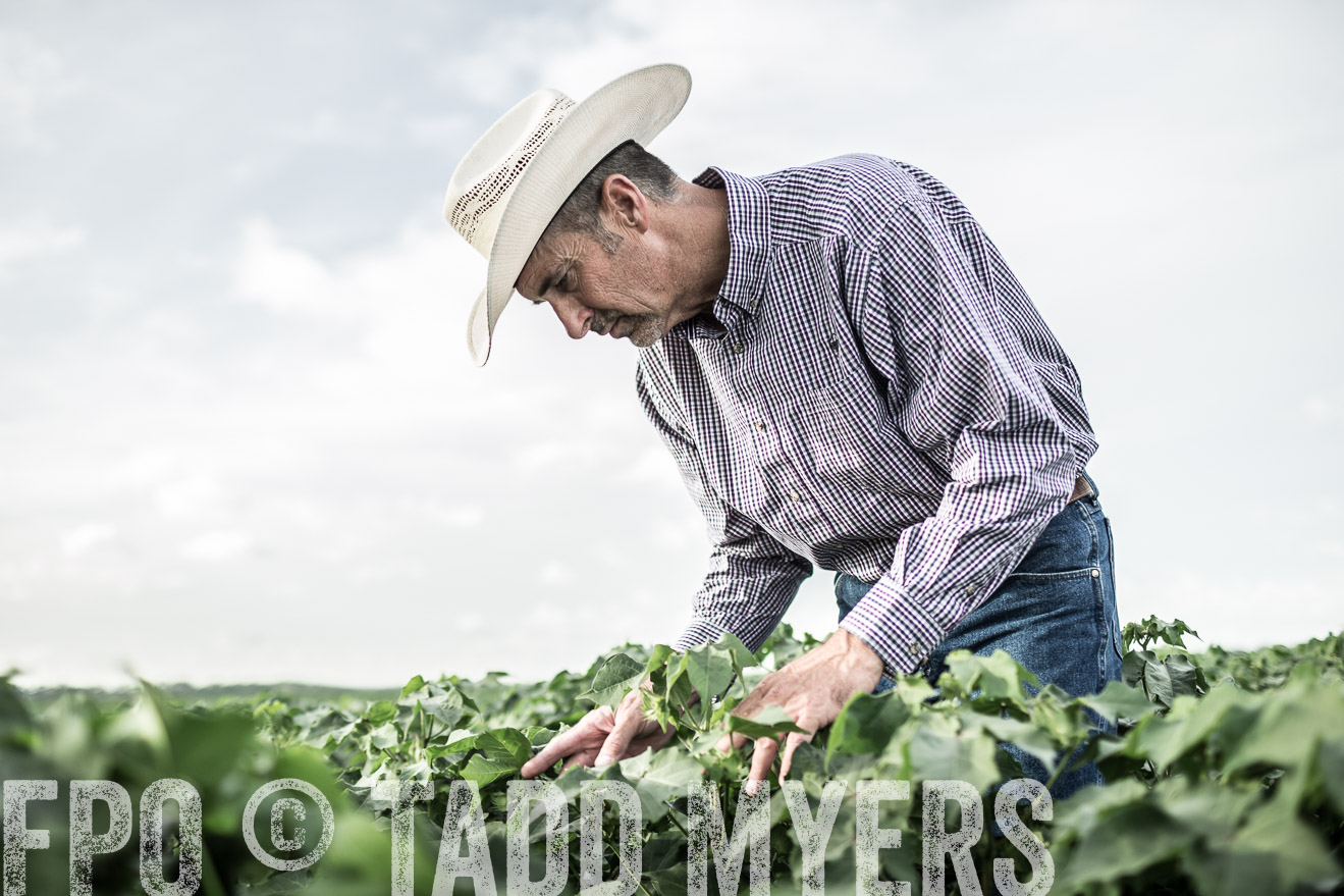 TMyers_CameronTX_June2014-9496
