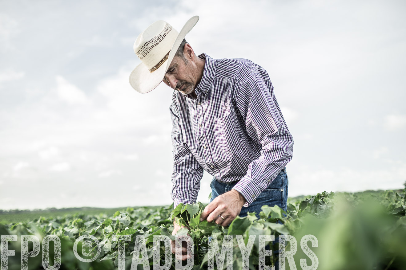 TMyers_CameronTX_June2014-9508