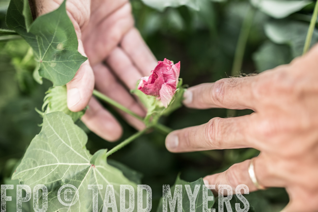 TMyers_CameronTX_June2014-9566